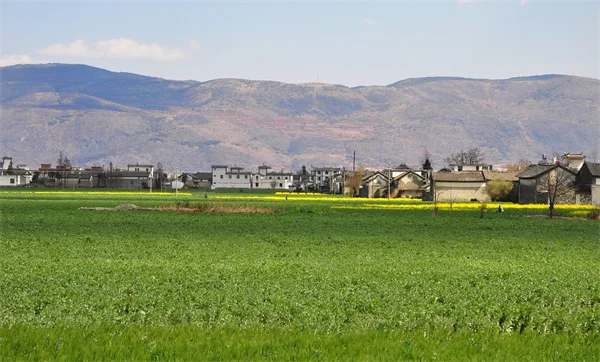 GLP-1 Hair Loss: Why It Happens & How to Regrow Hair Fast